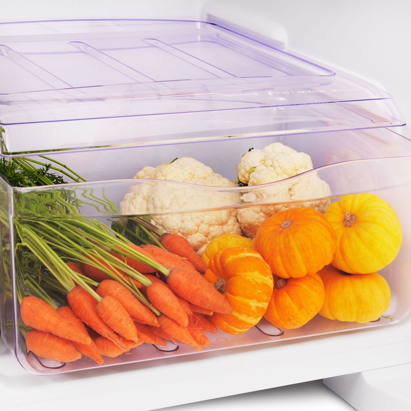 Geladeira-Electrolux-RE31-Simples-Cycle-Defrost-240-Litros-Branco