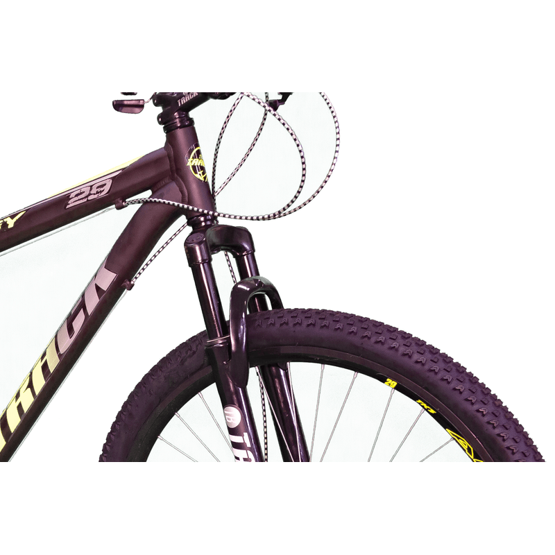 bicicleta-aro-29