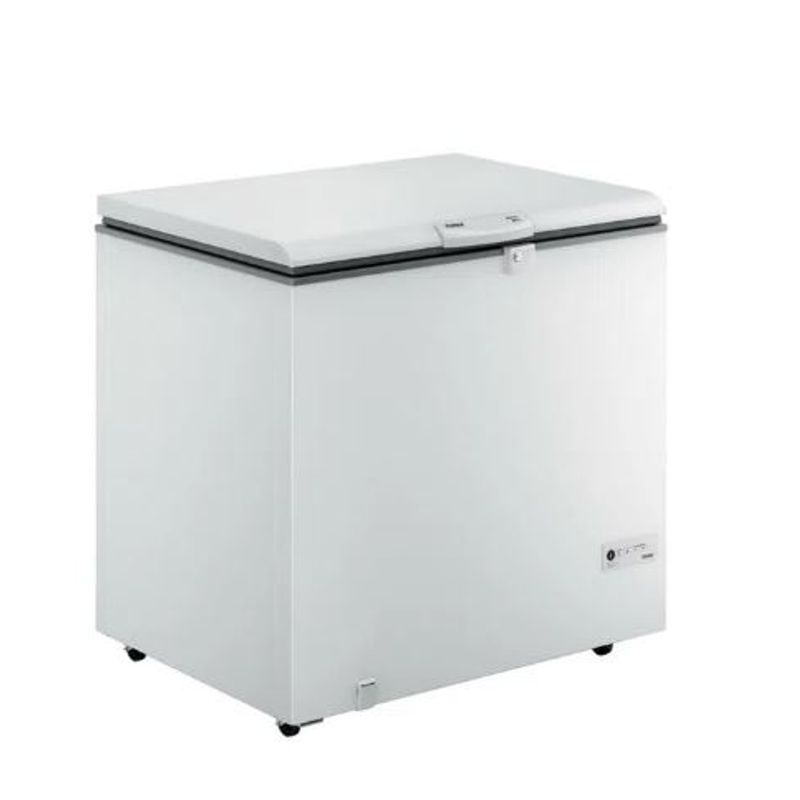 Freezer-Horizontal-Consul-309L