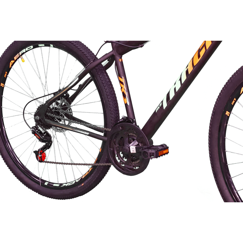 track-bikes-aro-29