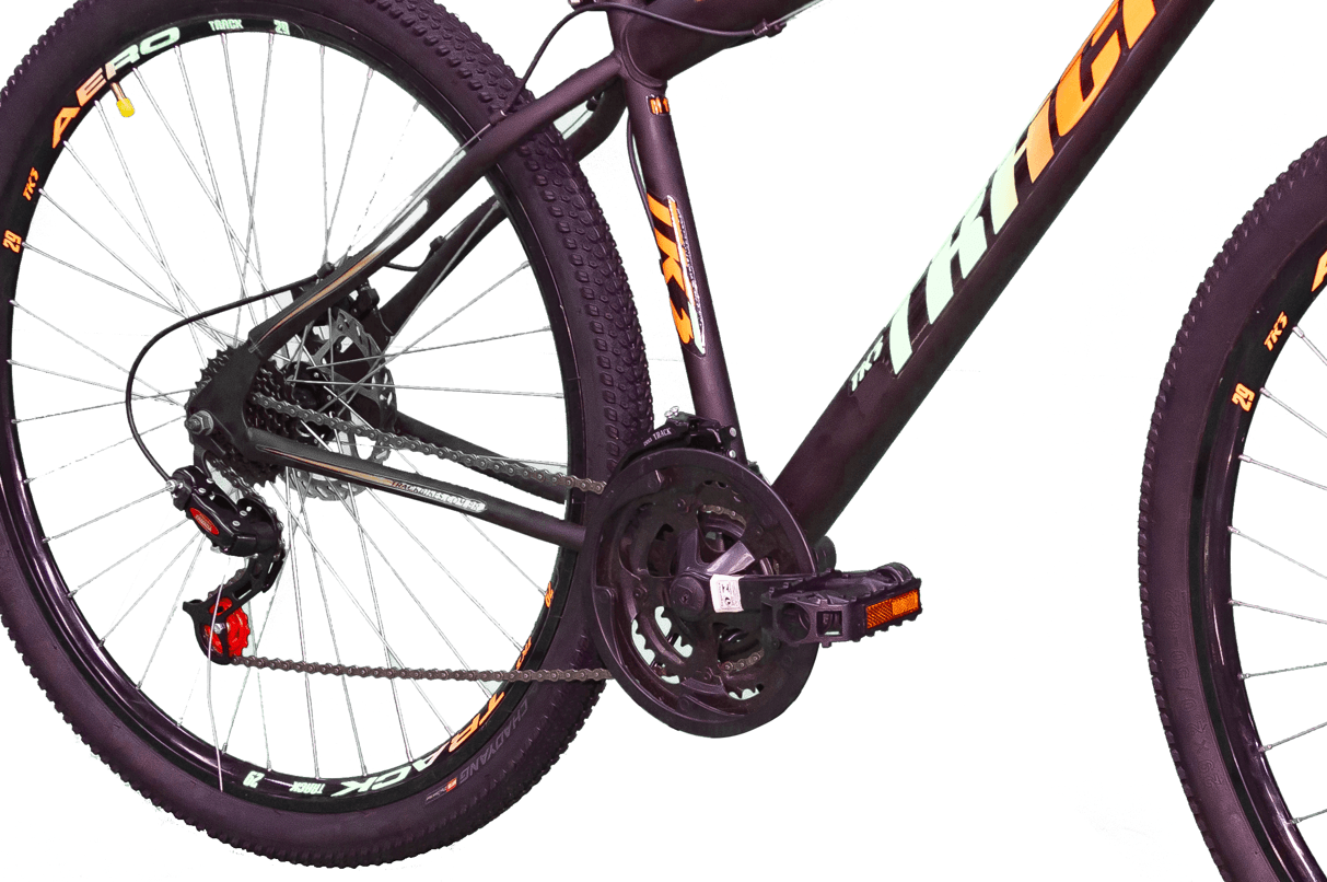 track-bikes-aro-29