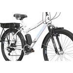 trek-eletrica