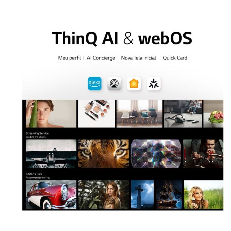webos-6.0