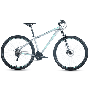 Bicicleta Aro 29 Houston Skyler 21 marchas Inox