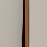 x6