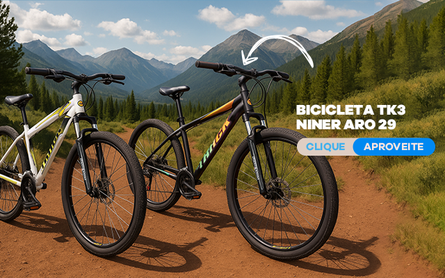 Bicicleta Track&Bikes Aro 29 TB NINER 21 velocidades e freio a Disco